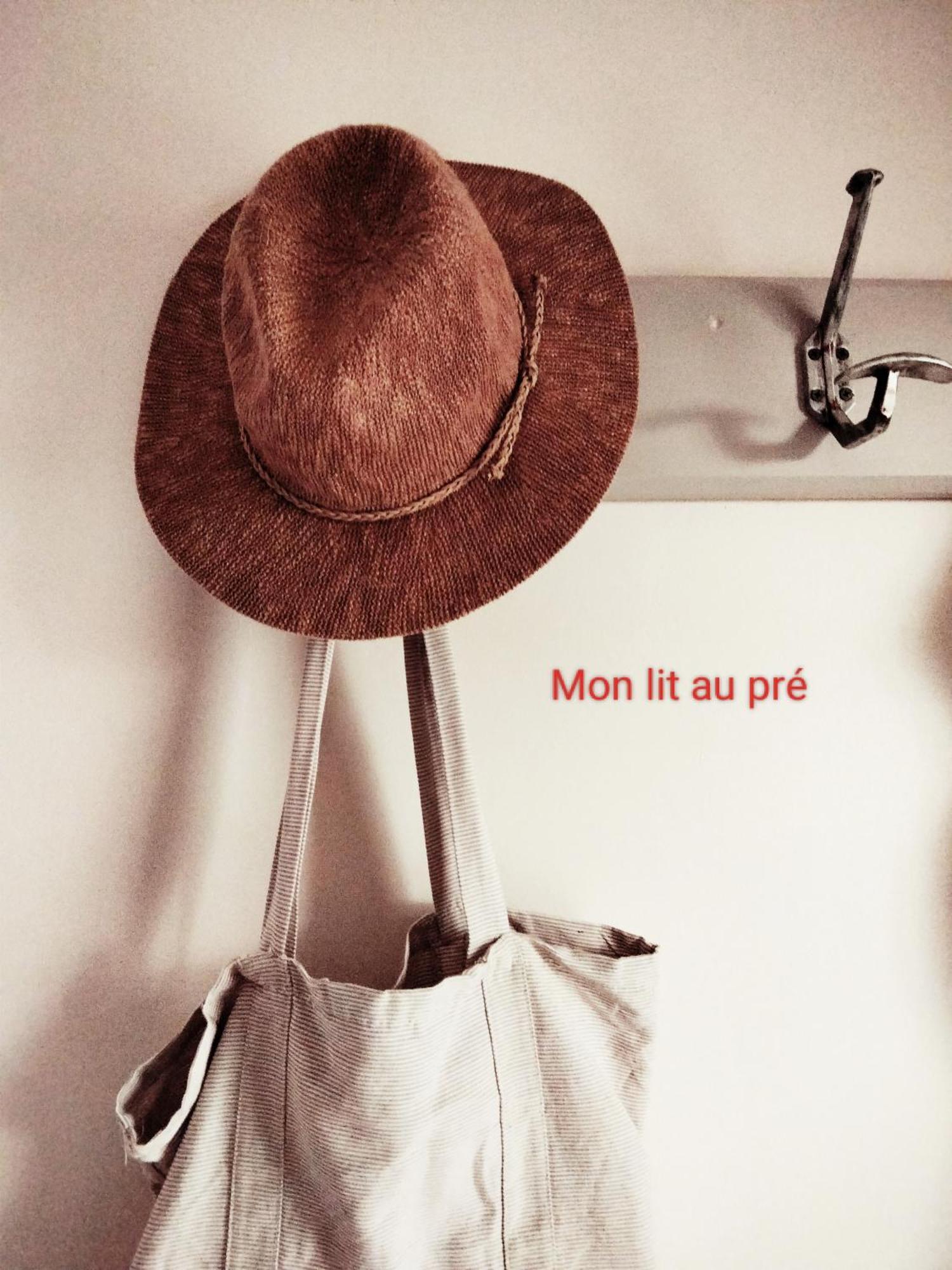 Chambre Familiale Anna "Mon Lit Au Pre" , Jusqu'A 4 Adultes Et 2 Enfants Avec Piscine Familles, Couples Ou Femmes Seulement Pontours Eksteriør bilde